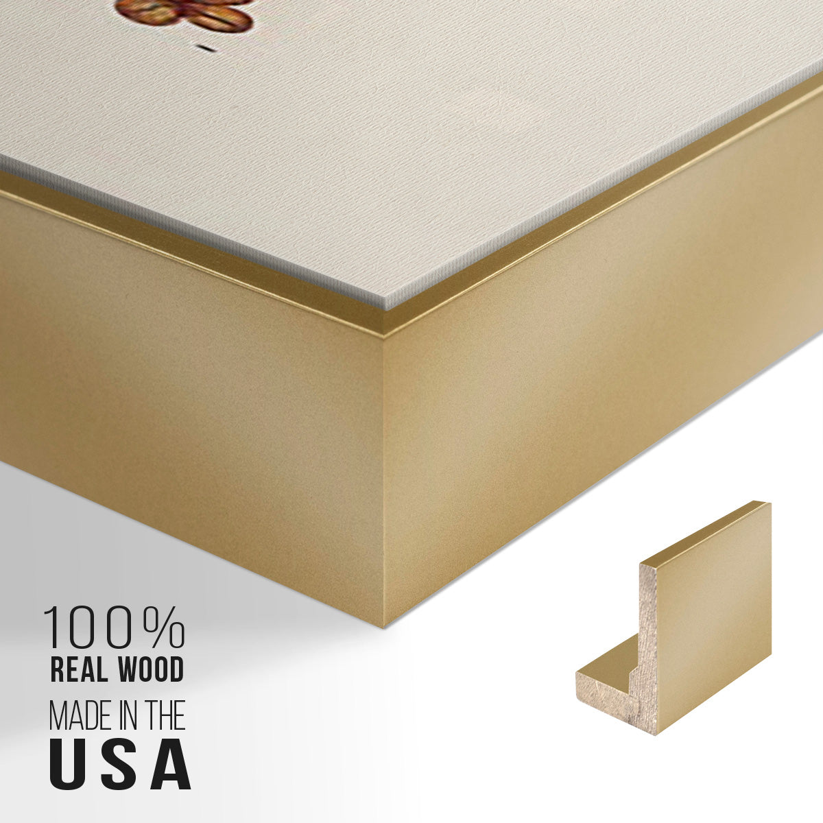 Botanical Society Ferns VI - Floater Framed Canvas Set