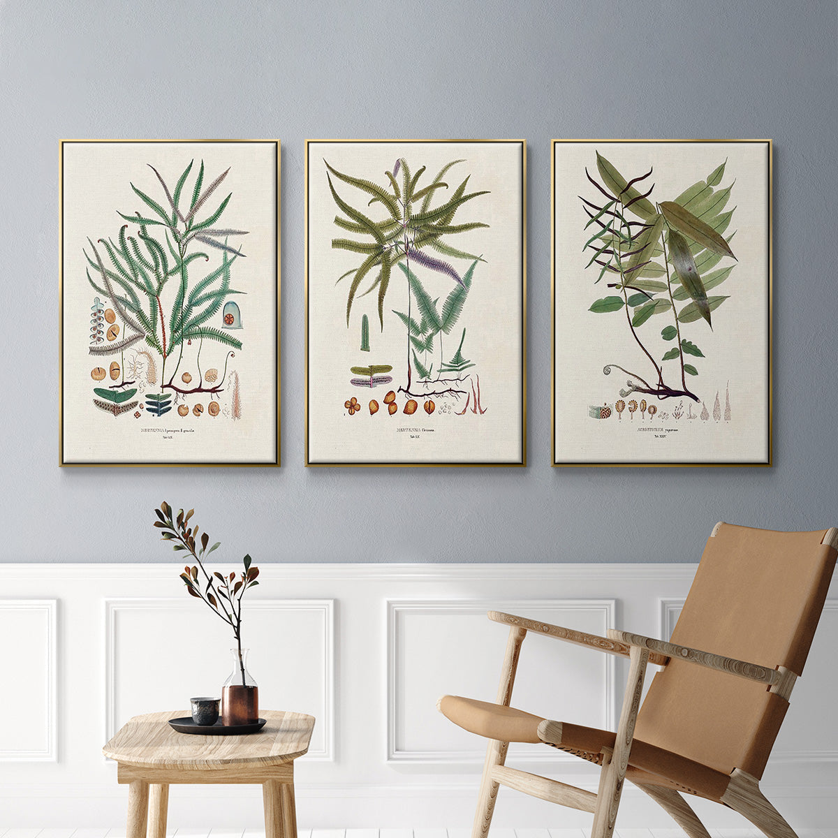Botanical Society Ferns VI - Floater Framed Canvas Set