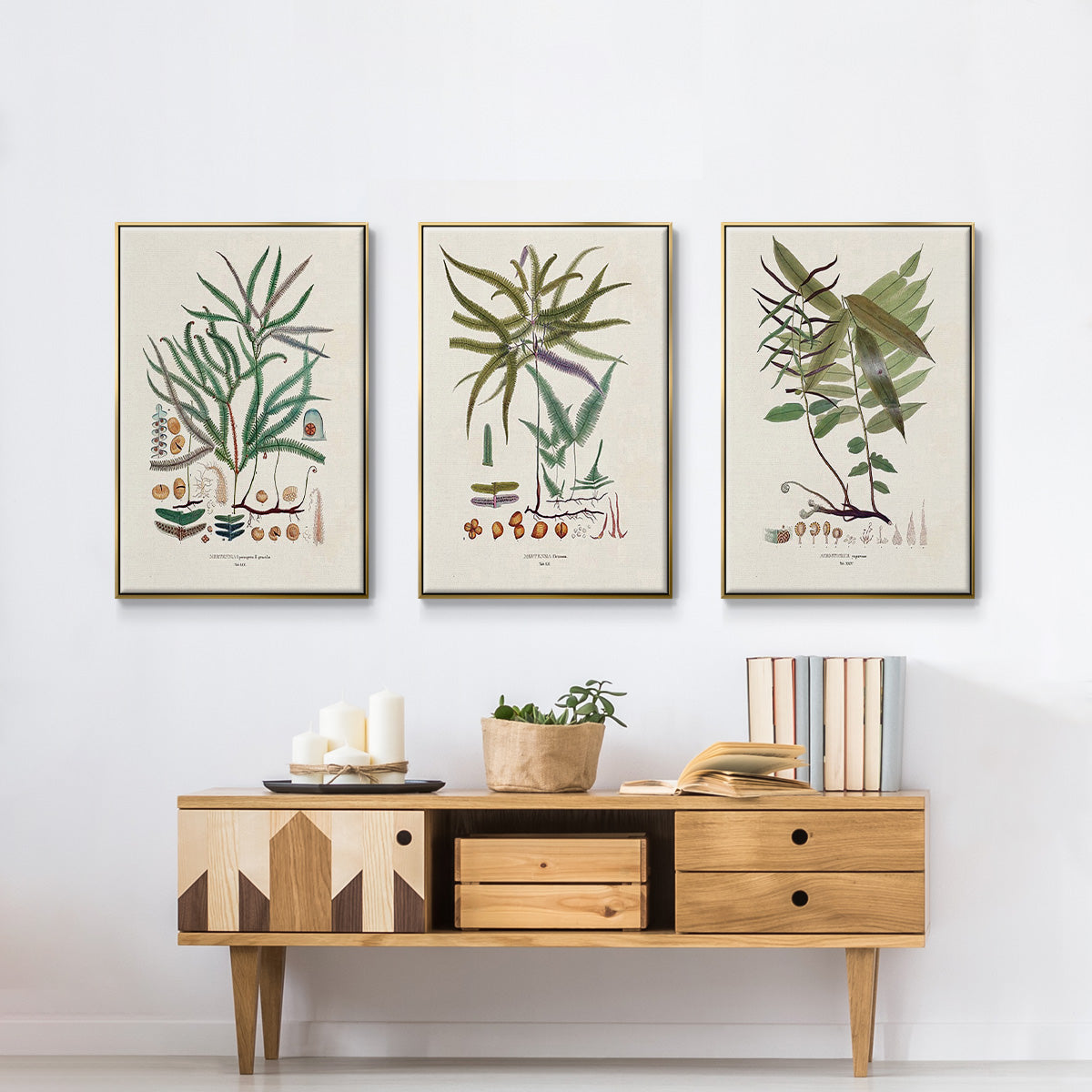 Botanical Society Ferns VI - Floater Framed Canvas Set
