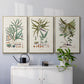 Botanical Society Ferns VI - Floater Framed Canvas Set