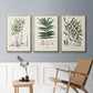 Botanical Society Ferns X - Floater Framed Canvas Set