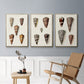 Cone Shell Collection I - Floater Framed Canvas Set