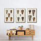 Cone Shell Collection I - Floater Framed Canvas Set
