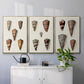 Cone Shell Collection I - Floater Framed Canvas Set