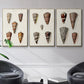 Cone Shell Collection I - Floater Framed Canvas Set