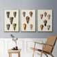 Cone Shell Collection IV - Floater Framed Canvas Set