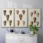 Cone Shell Collection IV - Floater Framed Canvas Set
