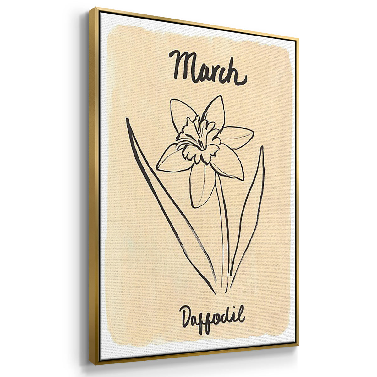 Birth Month I - Floater Framed Canvas Set