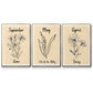 Birth Month IV - Floater Framed Canvas Set