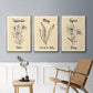 Birth Month IV - Floater Framed Canvas Set