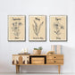 Birth Month IV - Floater Framed Canvas Set