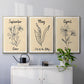 Birth Month IV - Floater Framed Canvas Set