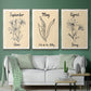 Birth Month IV - Floater Framed Canvas Set