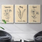 Birth Month IV - Floater Framed Canvas Set