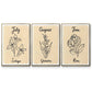 Birth Month VI - Floater Framed Canvas Set