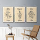 Birth Month VI - Floater Framed Canvas Set