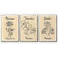 Birth Month X - Floater Framed Canvas Set