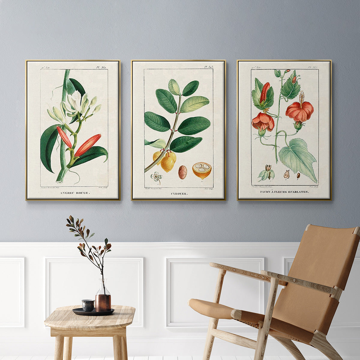 Turpin Tropical Botanicals IV - Floater Framed Canvas Set