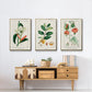 Turpin Tropical Botanicals IV - Floater Framed Canvas Set