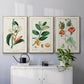 Turpin Tropical Botanicals IV - Floater Framed Canvas Set