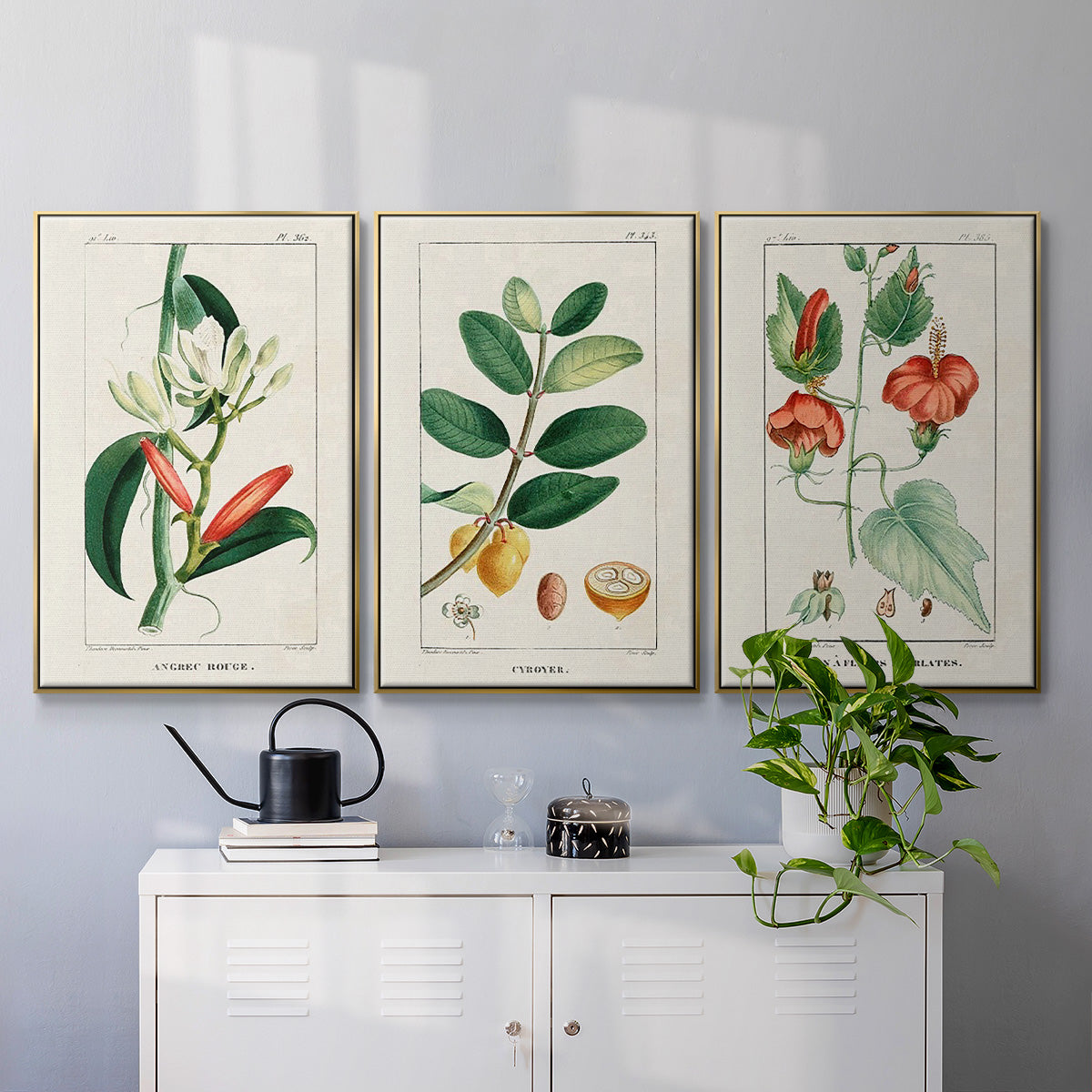 Turpin Tropical Botanicals IV - Floater Framed Canvas Set