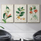 Turpin Tropical Botanicals IV - Floater Framed Canvas Set