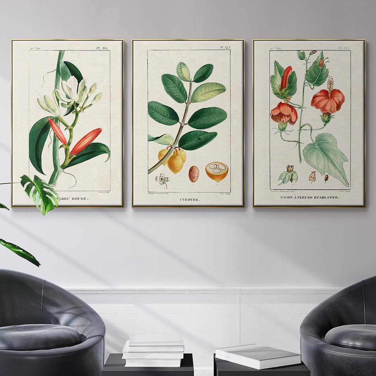 Turpin Tropical Botanicals IV - Floater Framed Canvas Set