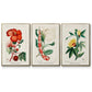 Turpin Tropical Botanicals VI - Floater Framed Canvas Set