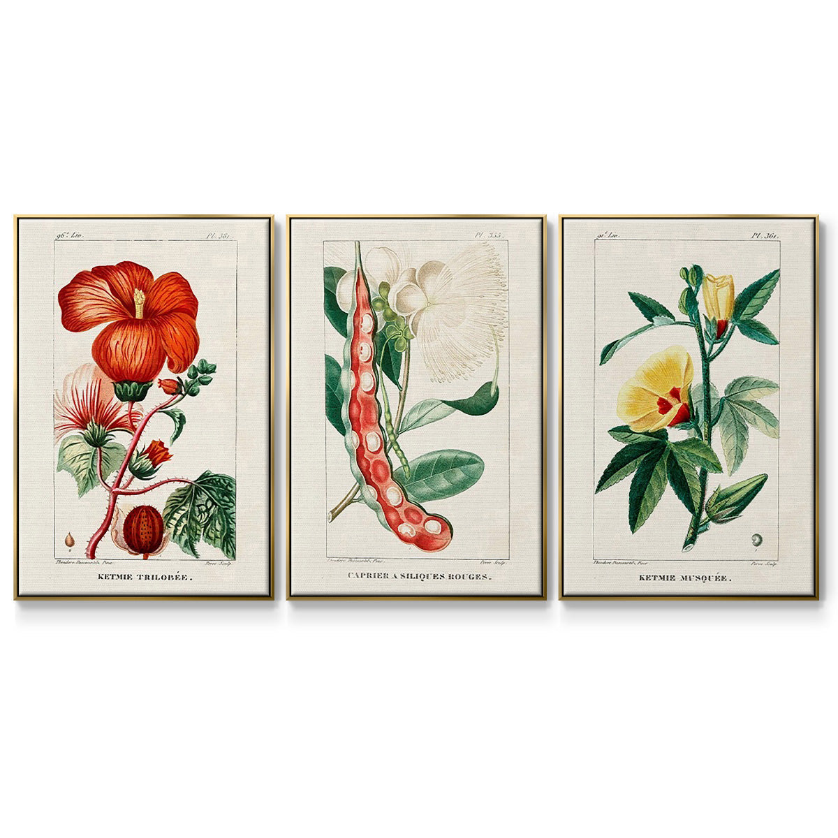 Turpin Tropical Botanicals VI - Floater Framed Canvas Set