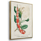 Turpin Tropical Botanicals VI - Floater Framed Canvas Set