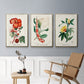 Turpin Tropical Botanicals VI - Floater Framed Canvas Set