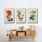 Turpin Tropical Botanicals VI - Floater Framed Canvas Set