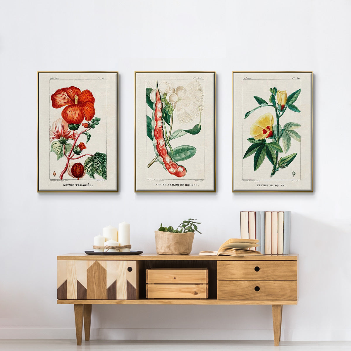Turpin Tropical Botanicals VI - Floater Framed Canvas Set