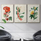 Turpin Tropical Botanicals VI - Floater Framed Canvas Set