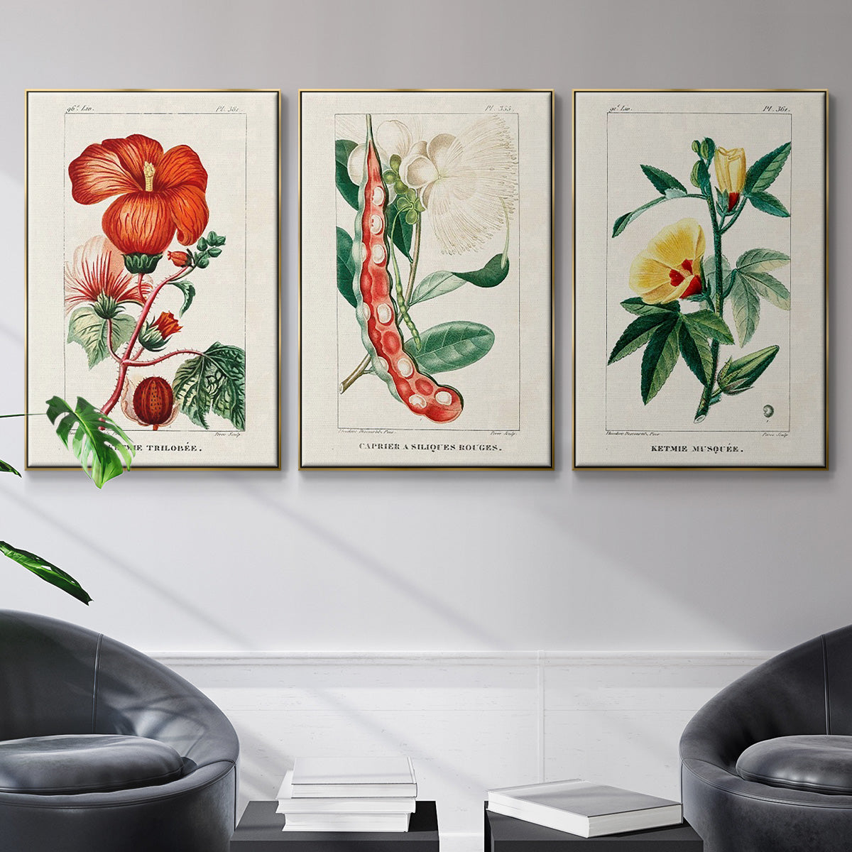 Turpin Tropical Botanicals VI - Floater Framed Canvas Set