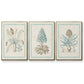 Willow Blue Besler IV - Floater Framed Canvas Set
