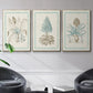 Willow Blue Besler IV - Floater Framed Canvas Set