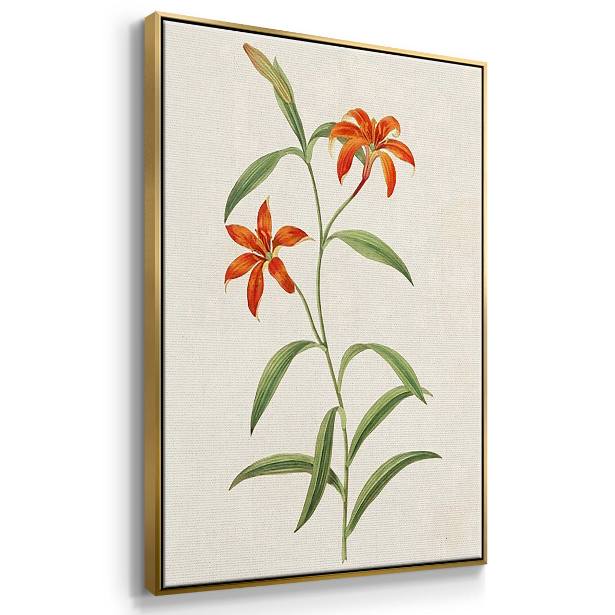 Flowers of the Seasons I - Floater Framed Canvas Set