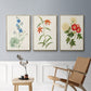 Flowers of the Seasons I - Floater Framed Canvas Set
