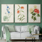 Flowers of the Seasons I - Floater Framed Canvas Set