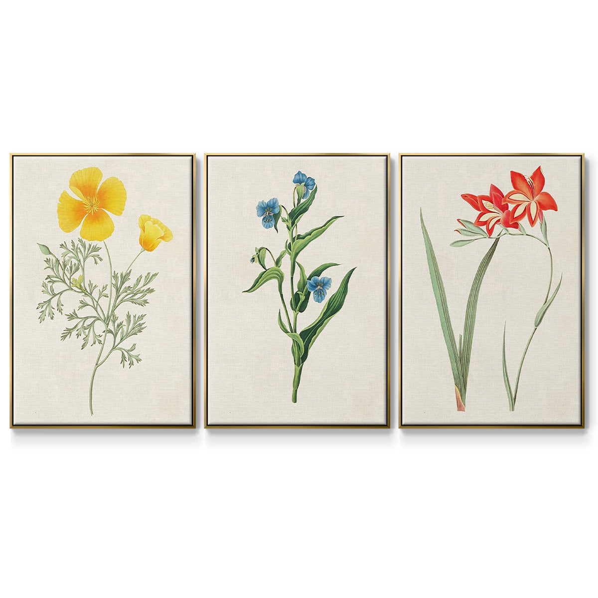 Flowers of the Seasons IV - Floater Framed Canvas Set