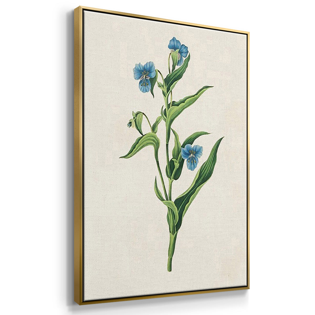 Flowers of the Seasons IV - Floater Framed Canvas Set