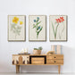Flowers of the Seasons IV - Floater Framed Canvas Set