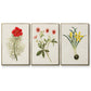 Flowers of the Seasons VI - Floater Framed Canvas Set