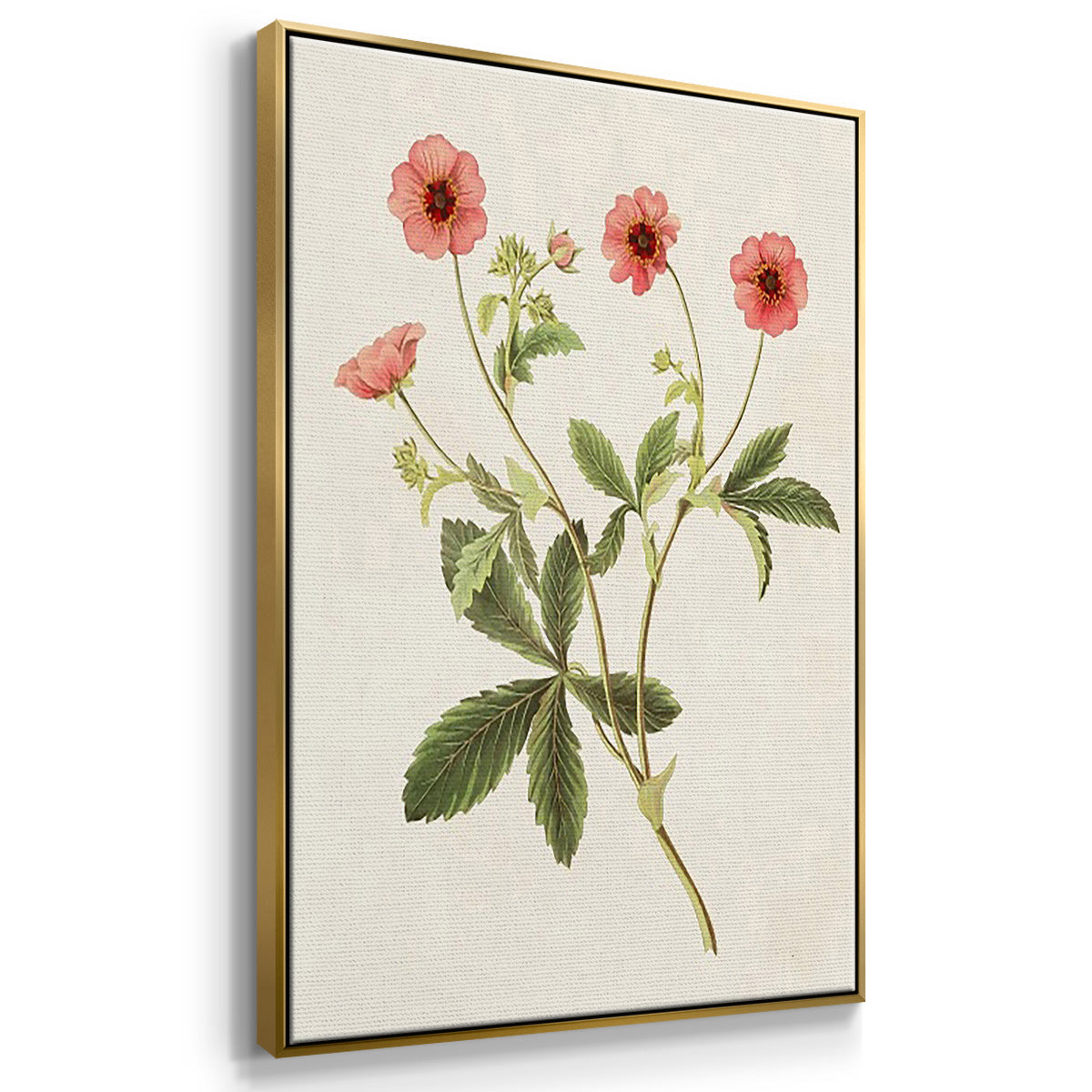 Flowers of the Seasons VI - Floater Framed Canvas Set