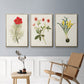 Flowers of the Seasons VI - Floater Framed Canvas Set