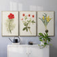 Flowers of the Seasons VI - Floater Framed Canvas Set