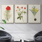Flowers of the Seasons VI - Floater Framed Canvas Set