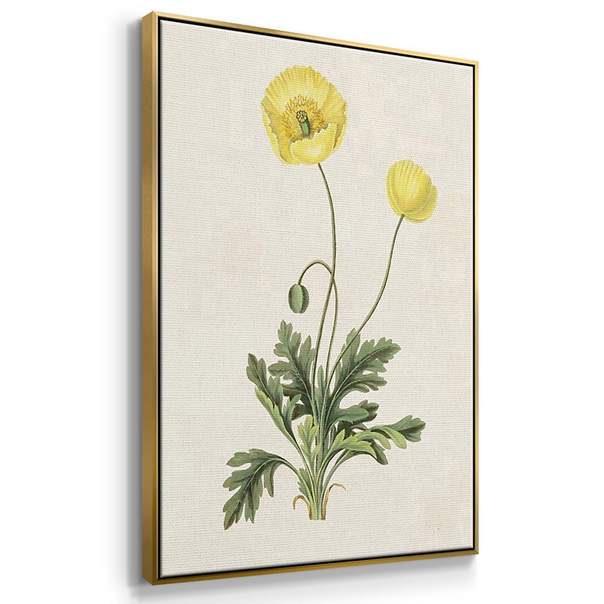 Flowers of the Seasons X - Floater Framed Canvas Set