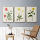 Flowers of the Seasons X - Floater Framed Canvas Set
